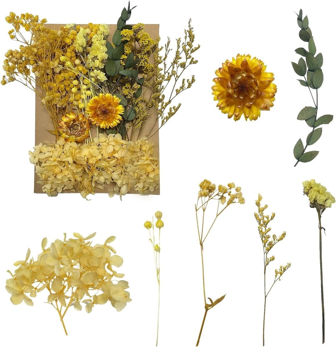 Creatieve Gele Gedroogde Bloemen voor DIY Resin, Scrapbooking, Sieraden en Bloemdecoraties