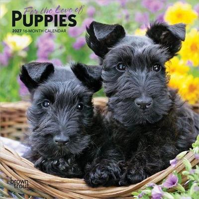 For the Love of Puppies 2027 7 X 14 Inch (Hanging) Monthly Mini Wall Calendar
