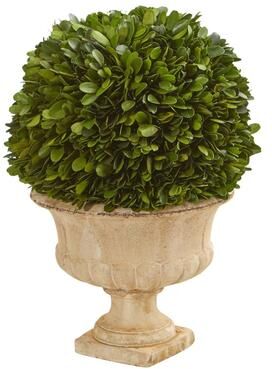 "Nearly Natural 12"" Boxwood Topiary Ball Preserved Plant in Decorative Urn - Green"