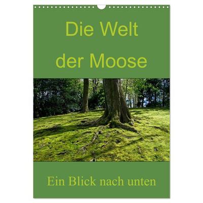 Die Welt der Moose. Ein Blick nach unten (Wandkalender 2026 DIN A3 hoch), CALVENDO Monatskalender