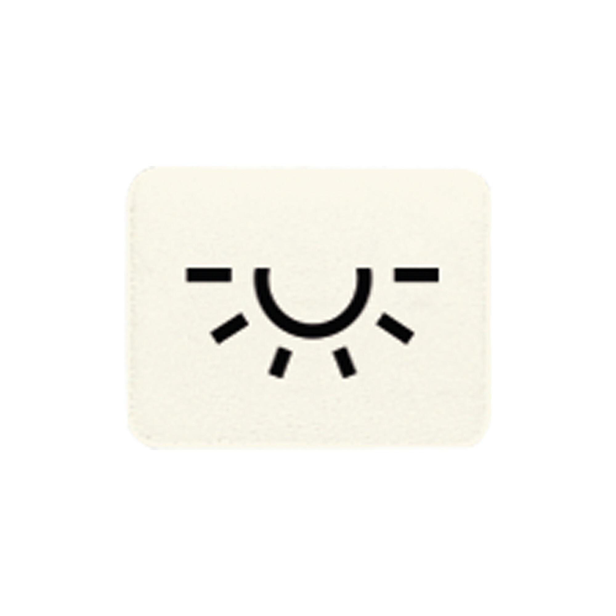 Jung Symbol ws LICHT 33 L (33L)