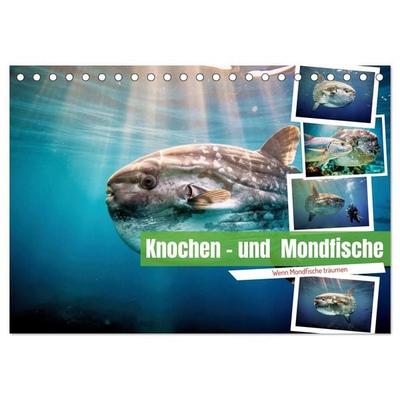 Knochen - und Mondfische (Tischkalender 2027 DIN A5 quer), CALVENDO Monatskalender