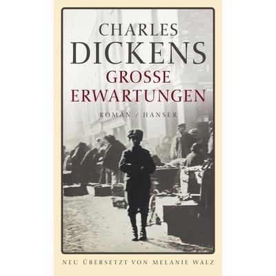 Große Erwartungen, Gebundene Ausgabe von Charles Dickens, Carl Hanser, 978-3-446-23760-5