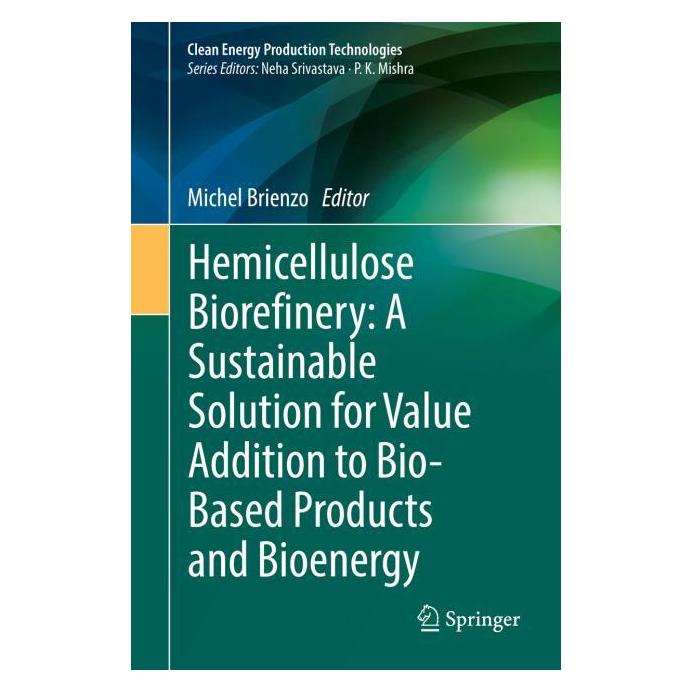 Springer Hemicellulose Biorefinery: A Sustainable Solution for Value Addition to Bio-Base (Englisch, Hardcover, Michel Brienzo) (71876203)