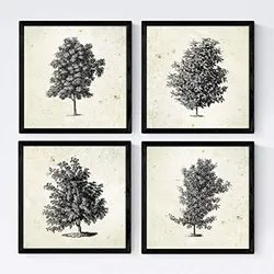 POSTER Set mit 4 Bädern Bäume miese Zweige Weinlese Altpapierhintergrund 30x30 cm Rahmenlos