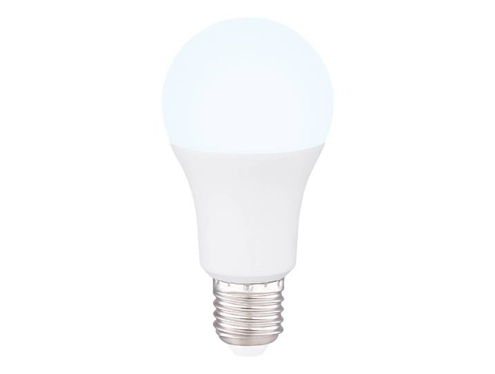 Ampoule LED Parksley Ø 6cm Blanc