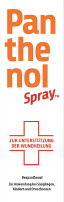 Dr. Gerhard Mann PANTHENOL Spray 130 g 04020784