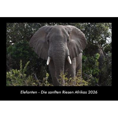 Elefanten - Die sanften Riesen Afrikas 2026 Fotokalender DIN A3