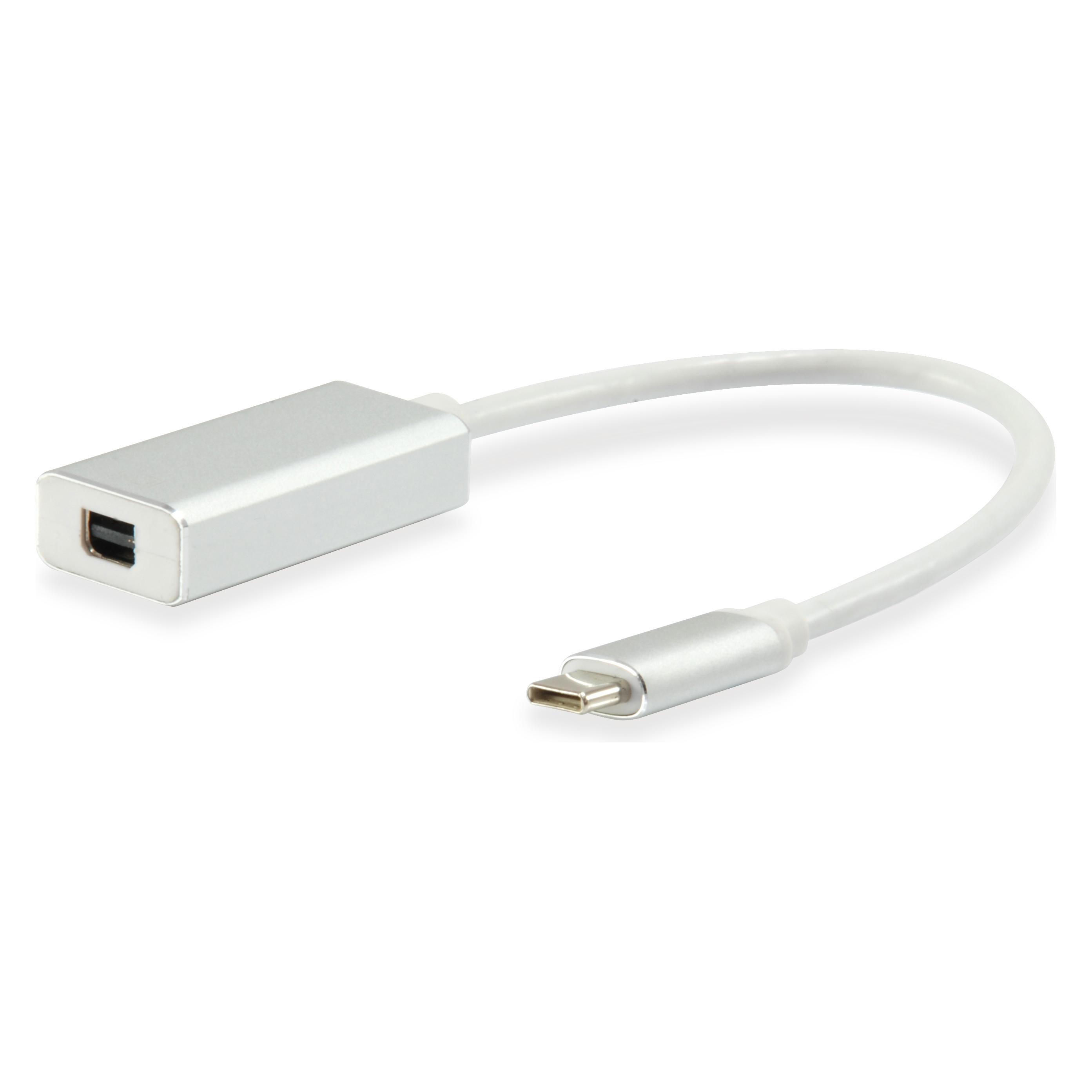 equip Mini DisplayPort - USB Typ C (133457)