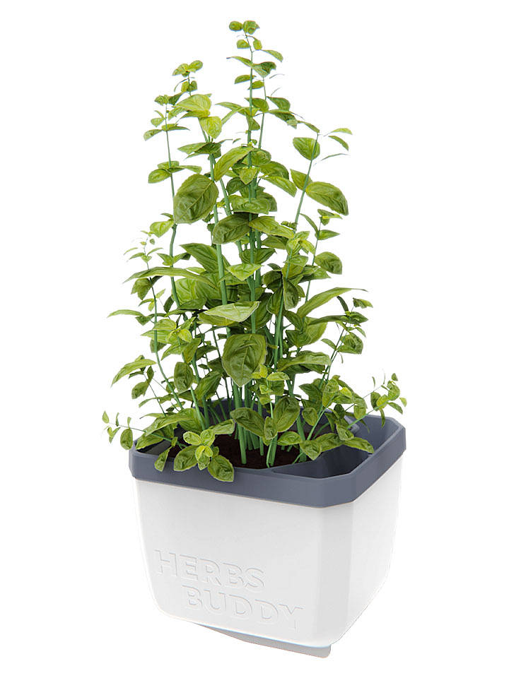 Gusta Garden Kräutertopf "Herbs Buddy" in Weiß - (B)16 x (H)14 x (T)13 cm - onesize