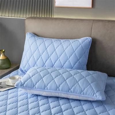 Uplifted Finds Waterproof Pillowcase Anti Stain Pillow Cover 1 Pc sky Blue