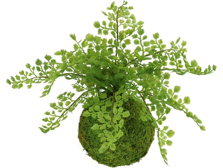 Kunstpflanze I.GE.A. Farnbusch auf Mooskugel , grün, B:27cm H:30cm L:27cm, Kunststoff, Kunstpflanzen, Kunstpflanze, Künstliche Pflanze Waldfarn