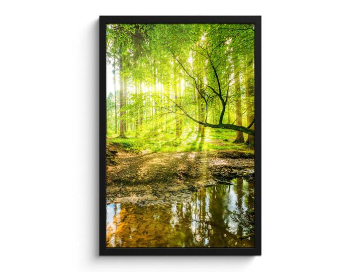 MuchoWow Poster MIT Rahmen Wald - Landschaft - Wasser - Bäume - Sonne - Grün - Natur Bilder mit Rahmen 40x60 cm, Papier, Rechteckig, 40x60 cm, gerahmt, Bilder & Rahmen, Bilder