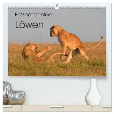 Faszination Afrika: Löwen (hochwertiger Premium Wandkalender 2027 DIN A2 quer), Kunstdruck in Hochglanz