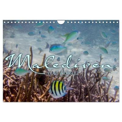 Unterwasserwelt der Malediven III (Wandkalender 2027 DIN A4 quer), CALVENDO Monatskalender