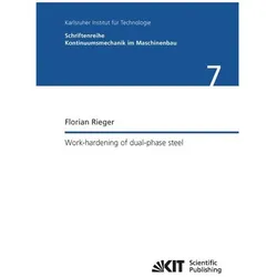 Work-hardening of dual-phase steel, Fachbücher von Florian Rieger