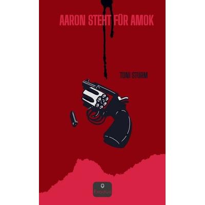 Aaron steht für Amok, Taschenbuch von Toni Sturm, Tredition, 978-3-384-74900-0