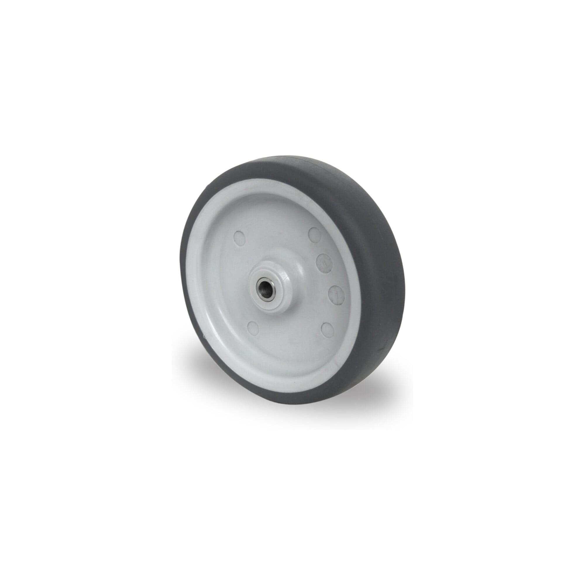 CASCOO Rad ø 125 mm Serie P2T2 Gleitlager Edelstahl (125P2T2L0N)