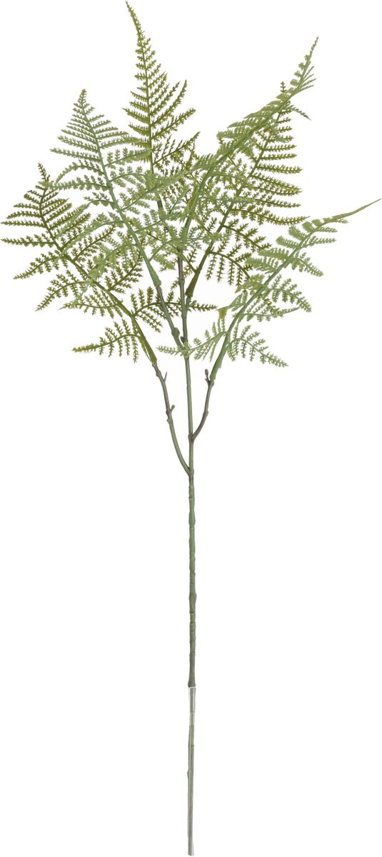 Maxifleur Kunsttak Asparagus 66 cm