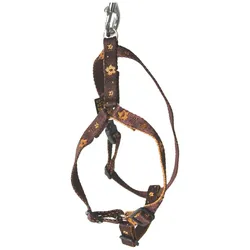 Arka Standard Hundegeschirr (Hund, Allgemein, Spazieren), Halsband + Leine