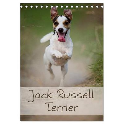 Jack Russell Terrier (Tischkalender 2027 DIN A5 hoch), CALVENDO Monatskalender