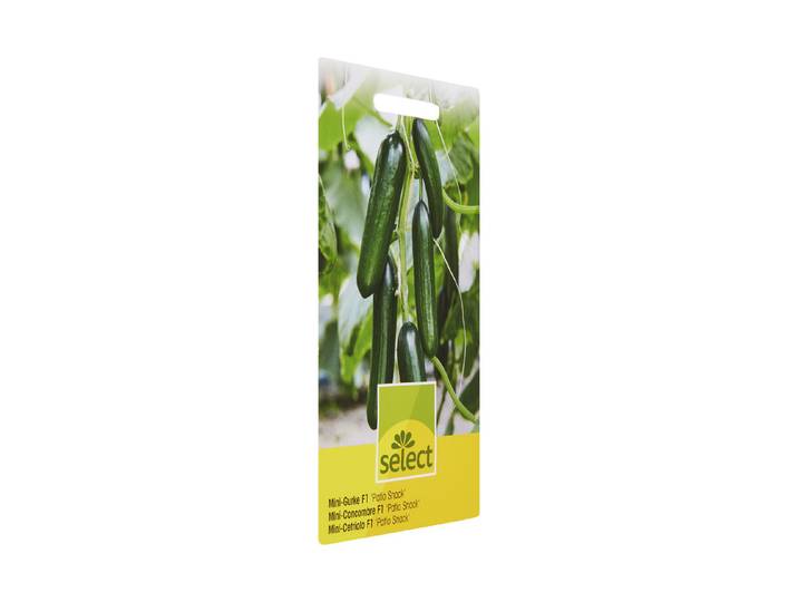 Select Mini-Gurke Patio Snack