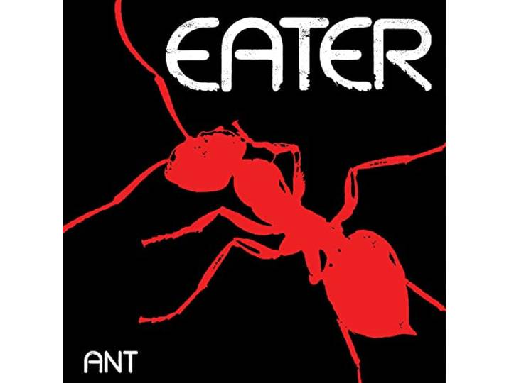 Ant