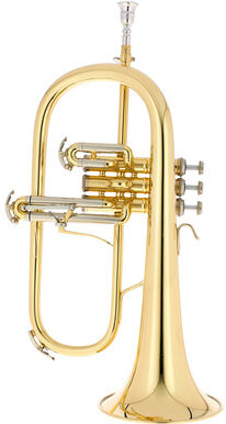 B&S 3145-L Challenger I