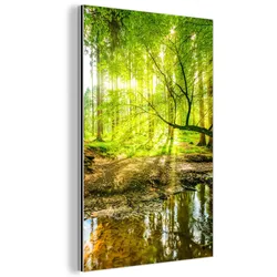 METALLBILD Wald - Landschaft - Wasser - Bäume - Sonne - Grün - Natur 20x30 cm