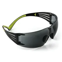 3M Schutzbrille SecureFit SF402AF-EU PC grau AS/AF