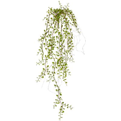 Kunstranke CREATIV GREEN "Mühlenbeckiahängezweig", grün, H:91cm, Obermaterial: 100% Kunststoff, Kunstpflanzen, mit schönem Blattwerk