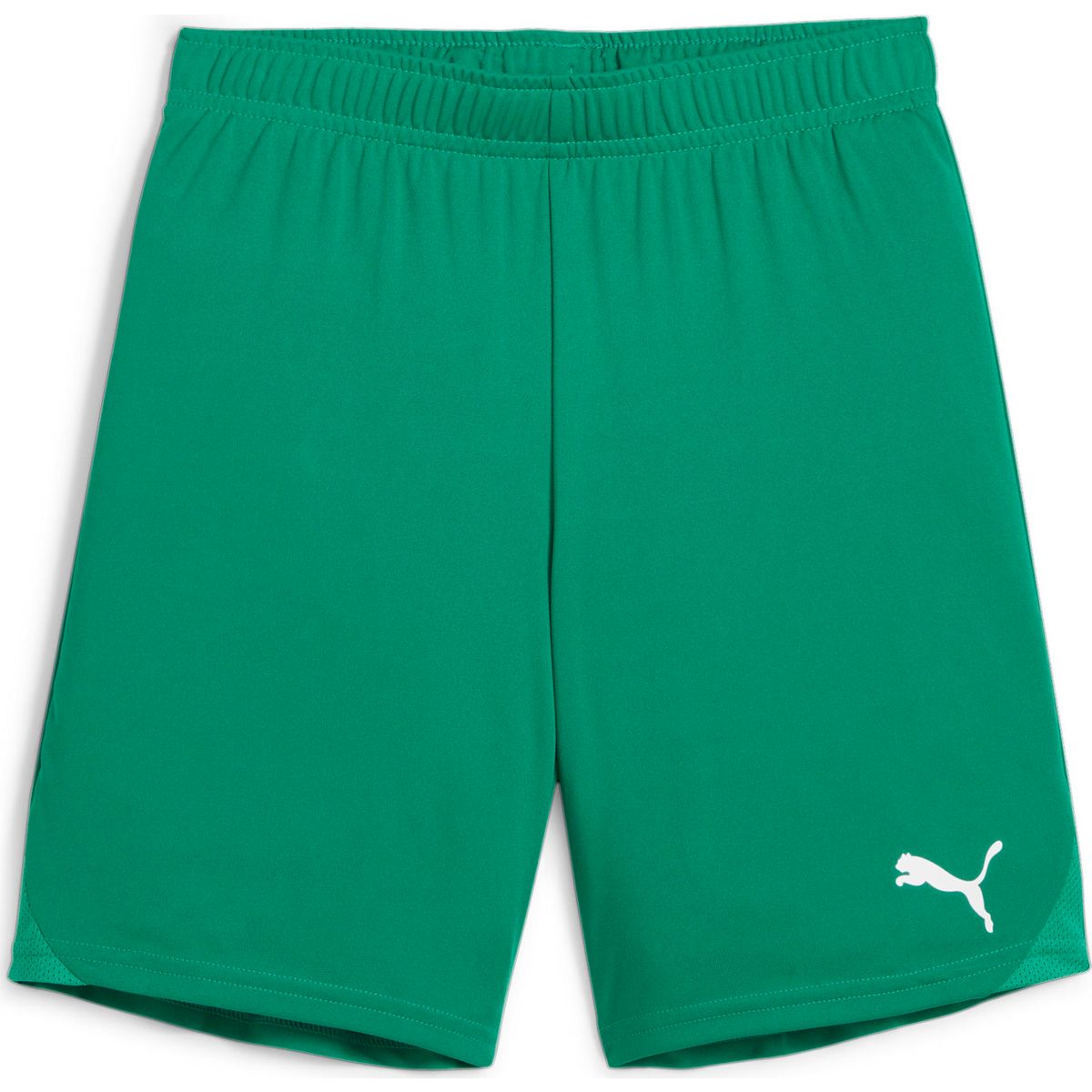 Puma Teamgoal Shorts Jr sport green-puma white (05) 164 705753-05-164