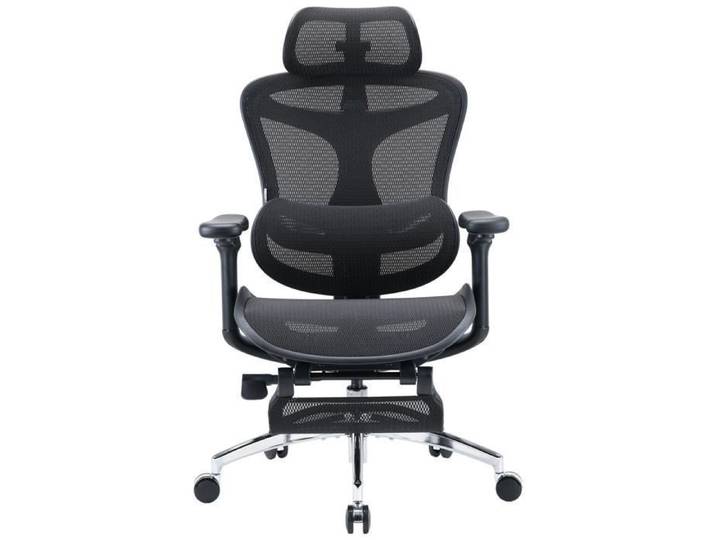 SIHOO Doro C300 Chaise de Bureau Ergonomique avec Soutien Lombaire Dynamique avec Repose-pieds Noir