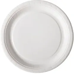 550x DUNI Pappteller Ø 22 cm Weiß