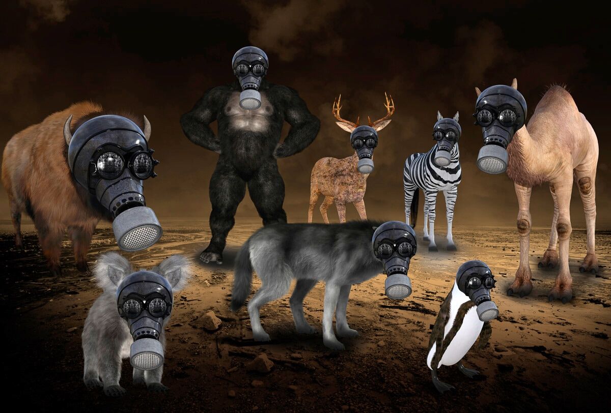 Fototapete PAPERMOON "Gasmasken Tiere", bunt, B:4,5m L:2,8m, Vlies, Tapeten, Fototapete bunt B/L: 4,5m x 2,8m, Bahnen: 9 Stk.
