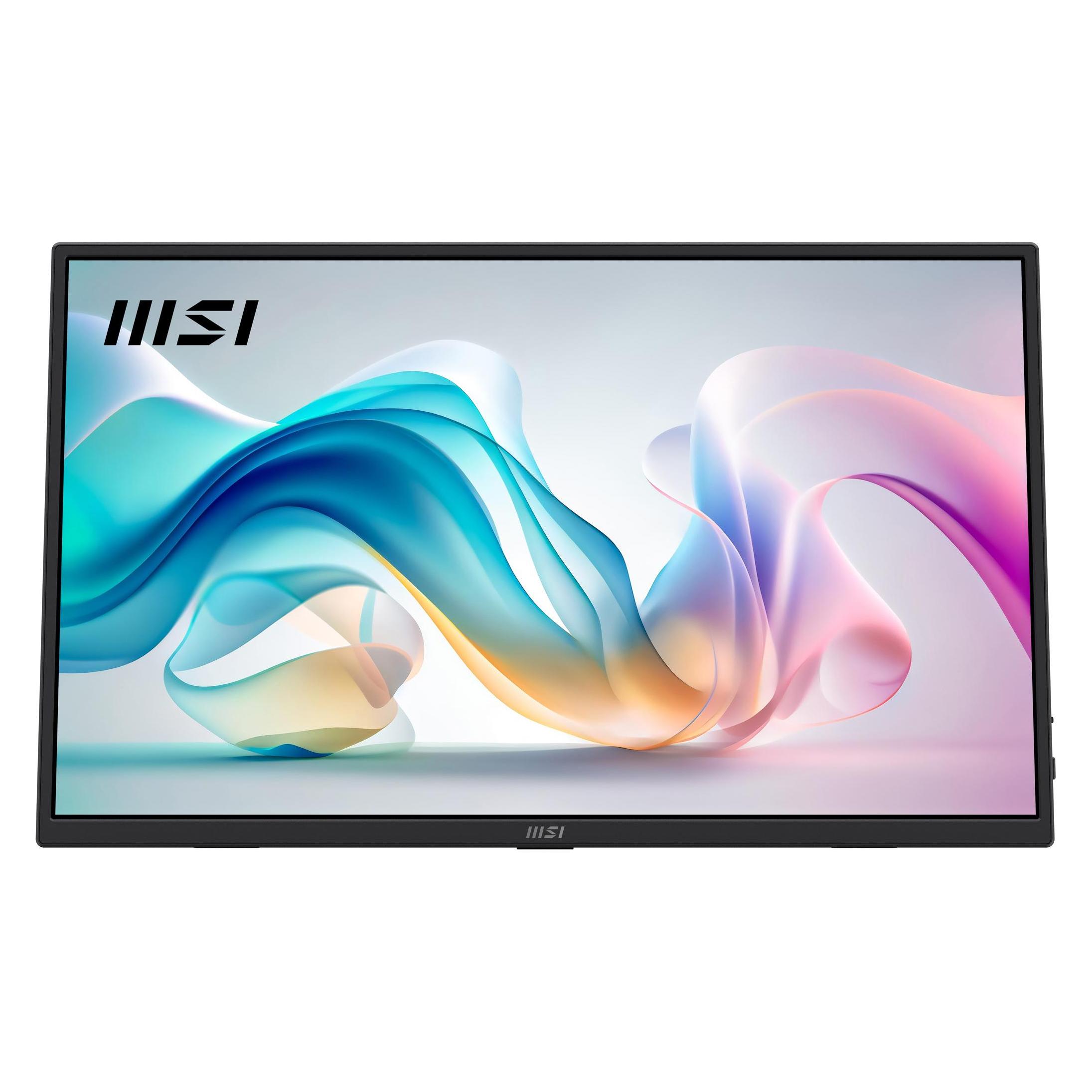 MSI PRO MP165DE E6 40cm (16") FHD (1920 x 1080 Pixel, 15.60") (9S6-3PE50M-002)