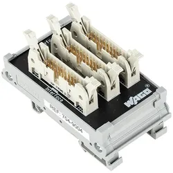 WAGO GmbH &amp; Co. KG Übergabemodul 704-9004
