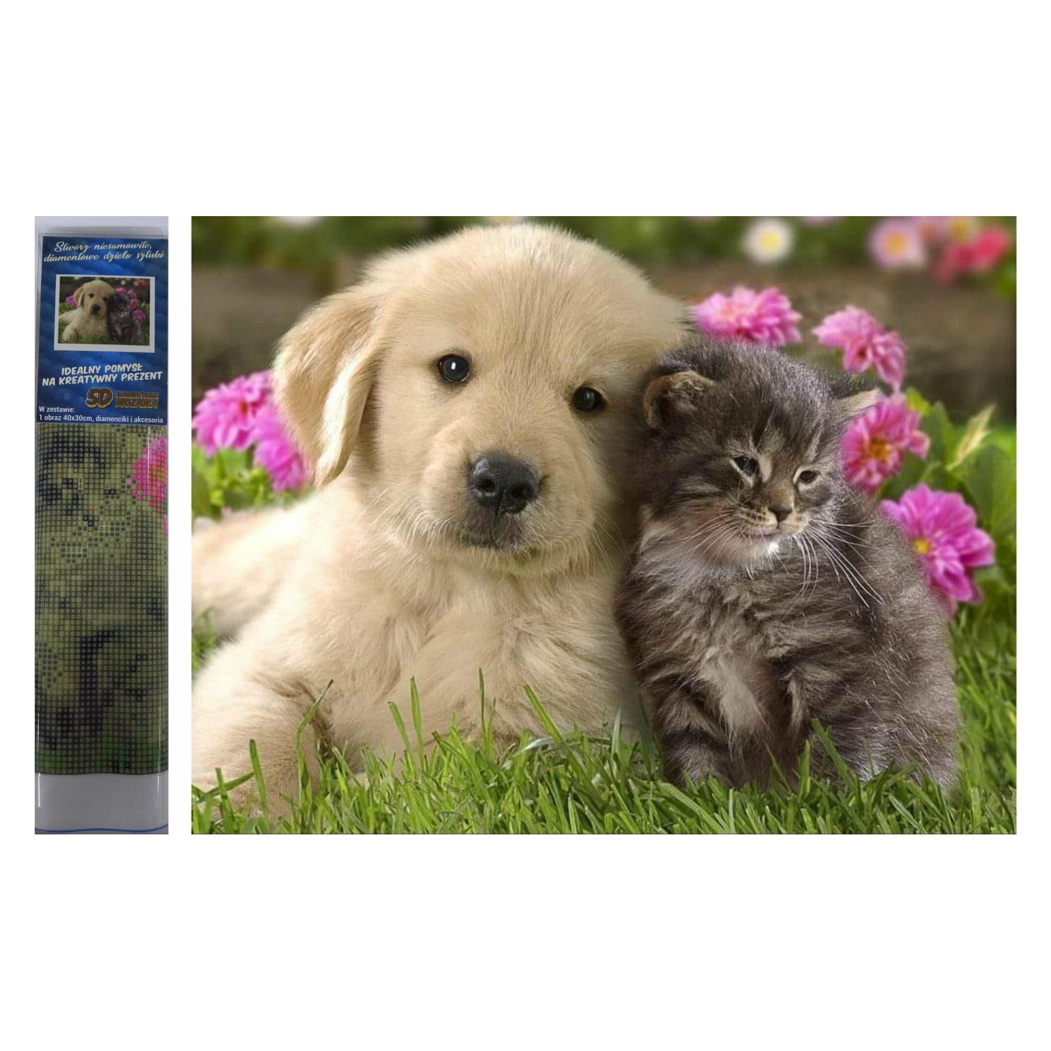Norimpex Diamond Gemälde Hund mit Katze 30x40cm (1008126)