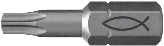 fischer Embout acier 10x FPB T 30 (557849)