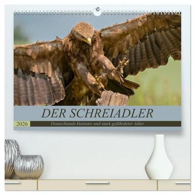 Der Schreiadler (Clanga pomarina) - Deutschands kleinster und stark gefährdeter Adler. (hochwertiger Premium Wandkalender 2026 DIN A2 quer),