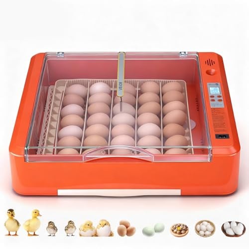 VEVOR Volautomatische broedmachine voor 36 eieren met eierkeerder, temperatuur- en vochtigheidsregeling, transparant venster, oranje