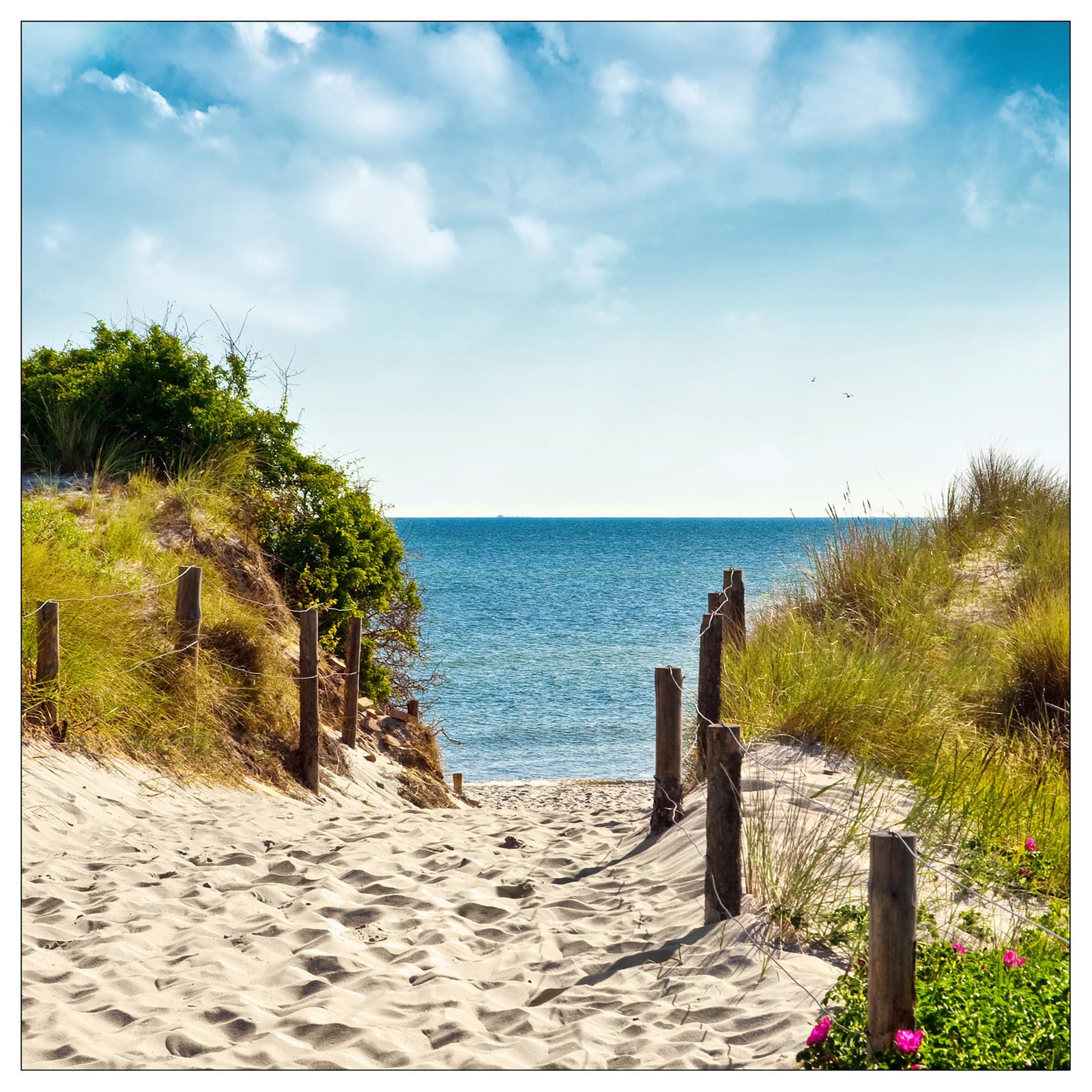 home24 Summer Breeze Canvas Wanddecoratie Groen/Blauw/Beige B: 40 cm, D: 40 cm, H: 2 cm