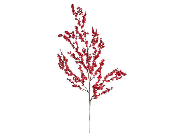 Weihnachtszweig, rote Beeren mit Raureif-Effekt
