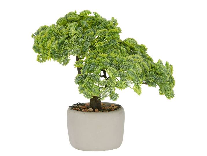 Kunstpflanze Bonsai Sedum 26 x 24 x 20cm