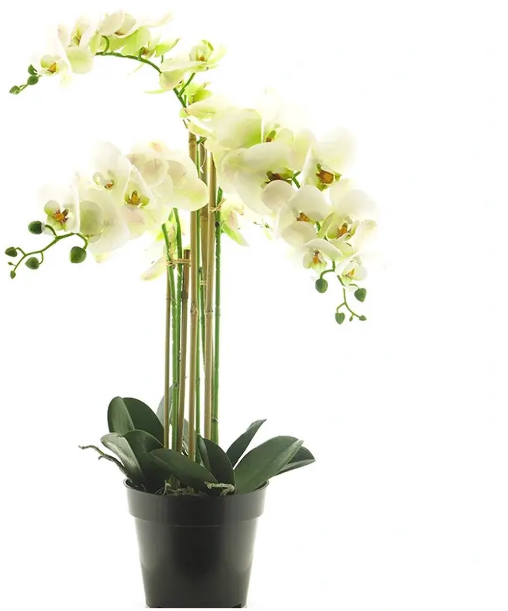 Kunstplant Phalaenopsis Bora x5 in witte pot, 60 cm