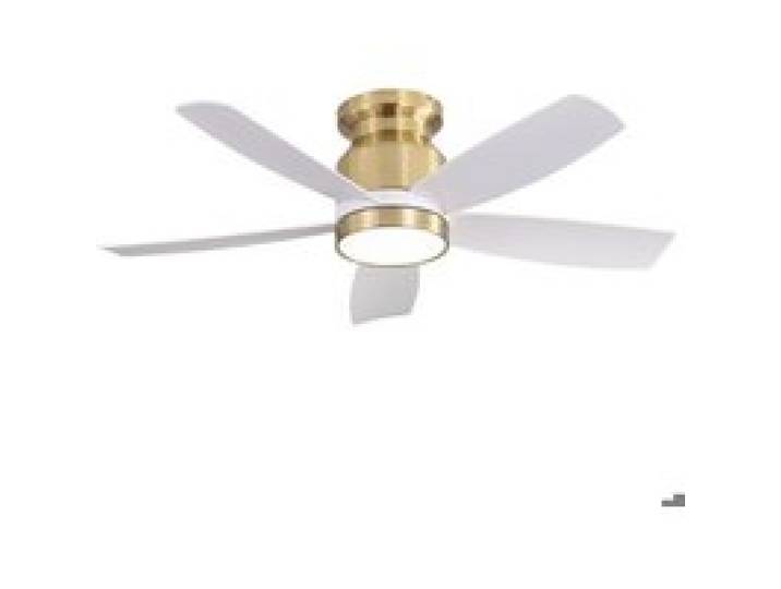 Brasseur d’air plafond lumineux 106 cm 6 vitesses de ventilation silencieuse lumière 3 teintes dimmable minuterie incluse