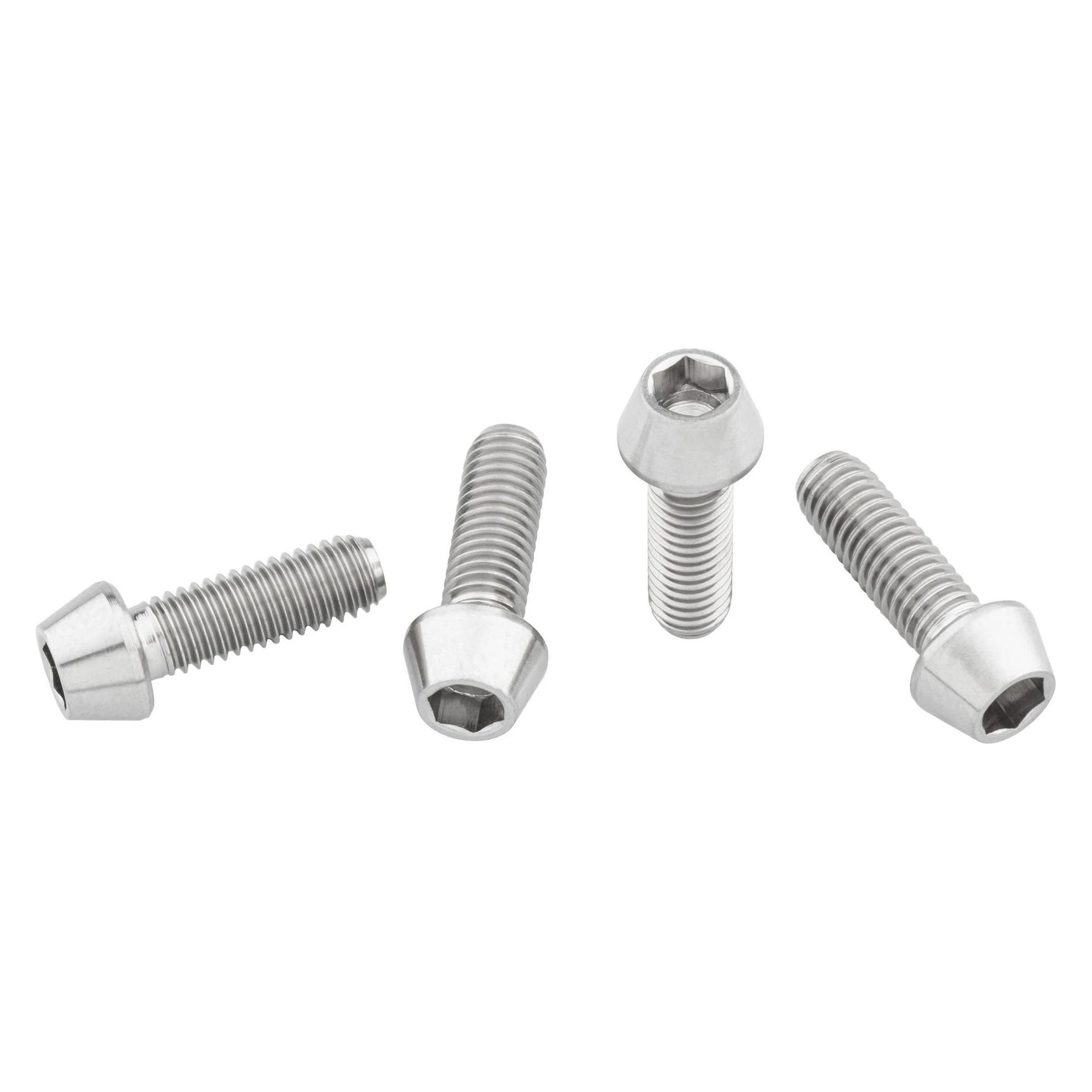 Wolf Tooth Flaschenhalter-Titanschrauben, M5x15mm, 4 Stk., raw titanium (4TIWBBOLT)