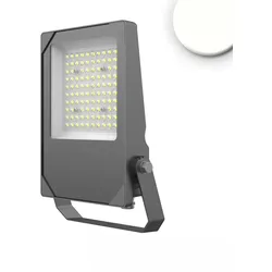 ISOLED LED Fluter HEQ, IP66, 50W, symmetrisch, Kabel offen, schwenkbar, 4000K 7000lm 110° ISO-115092