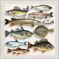 Ambiente 20 Servietten Papier 33x33cm 3-lagig - hochwertige Einweg Papierservietten mit Fischmotiv - maritim Tischdeko für Anglerfeste Grillparty Fischessen