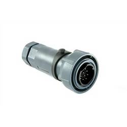 Bulgin PXP7010/06S/ST/1315 Rundsteckverbinder Stecker Gesamtpolzahl: 6 Bulk 1 St.